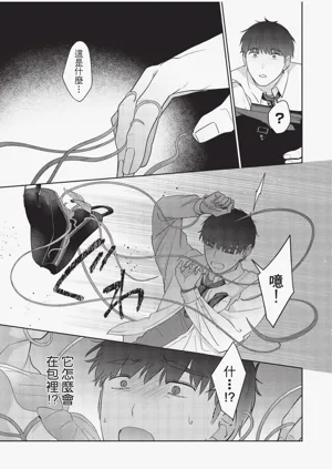 第29頁圖