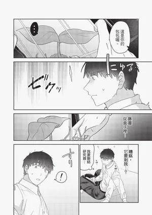 第74頁圖