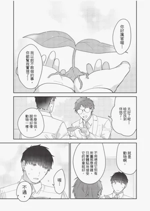 第83頁圖
