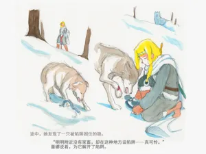 第17页图