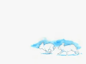 第54页图