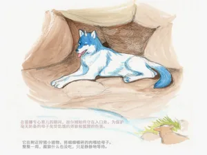 第62页图