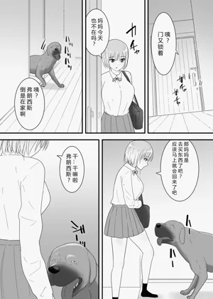 第11頁圖