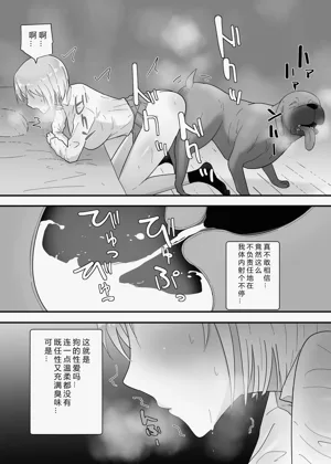 第42頁圖