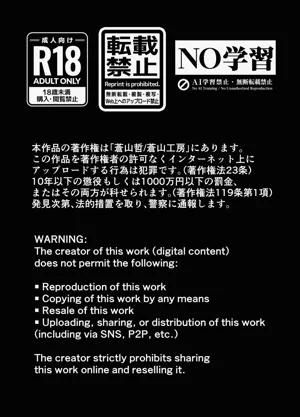 第17页图