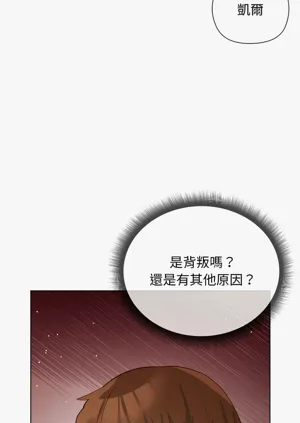 第196頁圖