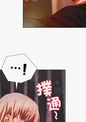 第241頁圖