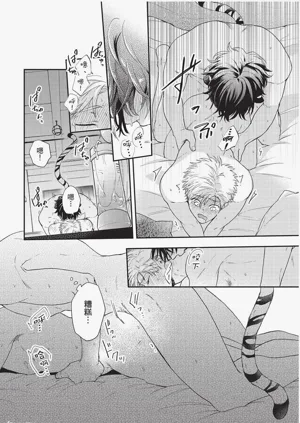第115頁圖