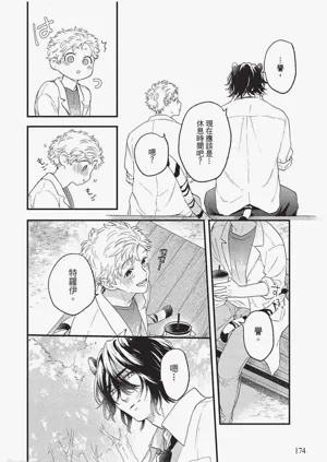 第175頁圖