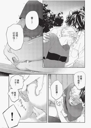 第70頁圖