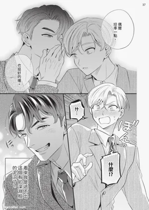 第38页图