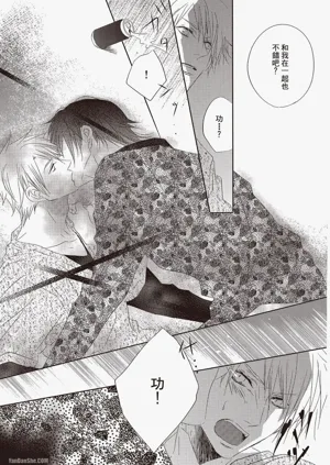 第29頁圖
