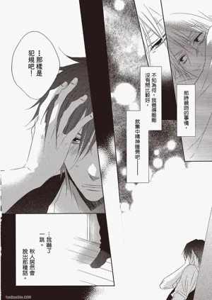 第81頁圖