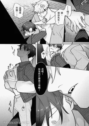 第142頁圖