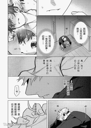 第204頁圖