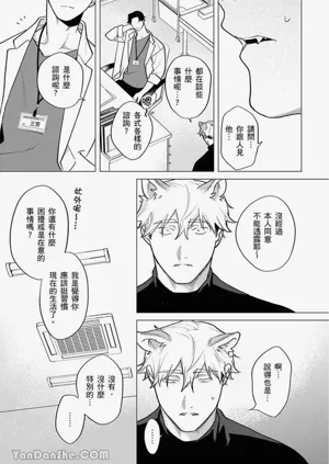第213頁圖