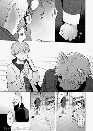 第223頁圖
