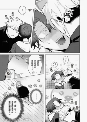 第225頁圖