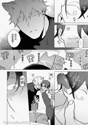 第228頁圖