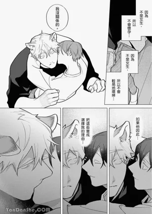 第234頁圖
