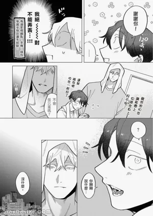 第238頁圖