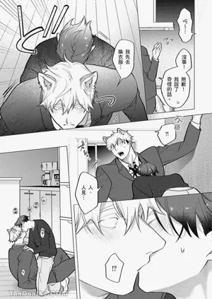 第260頁圖