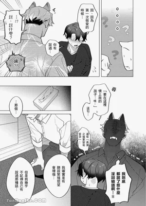 第277頁圖