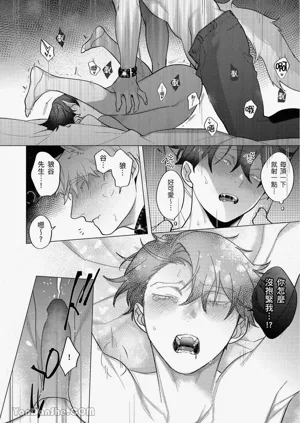第290頁圖