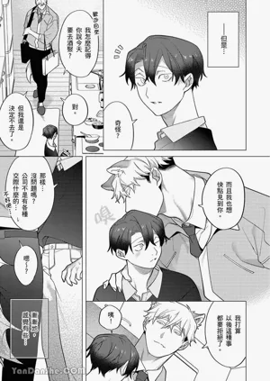 第297頁圖