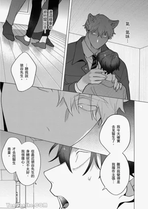 第315頁圖