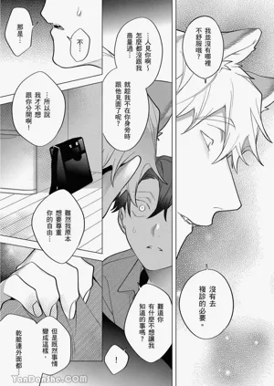 第317頁圖