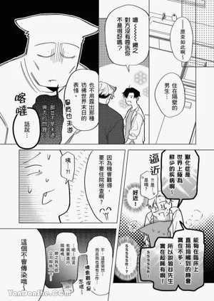 第33頁圖