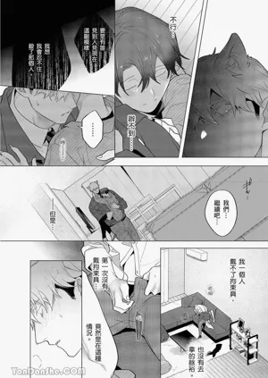 第335頁圖
