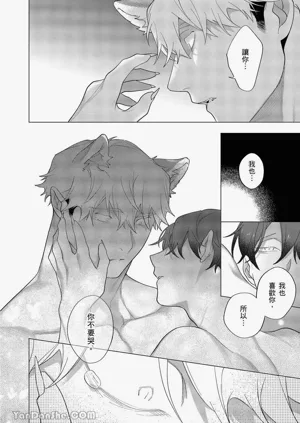 第353頁圖