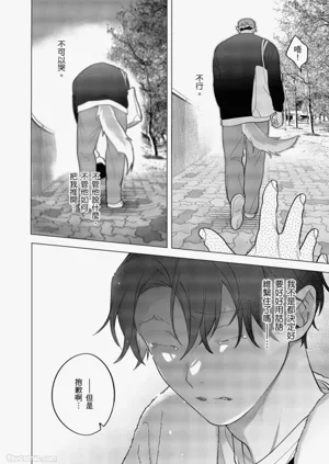 第377頁圖
