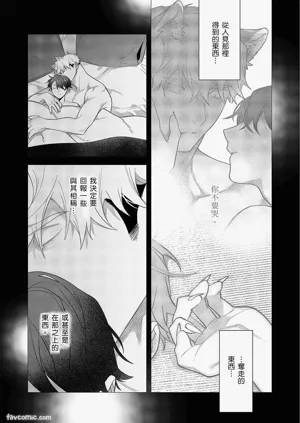 第381頁圖