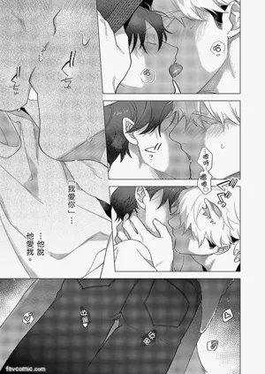 第393頁圖