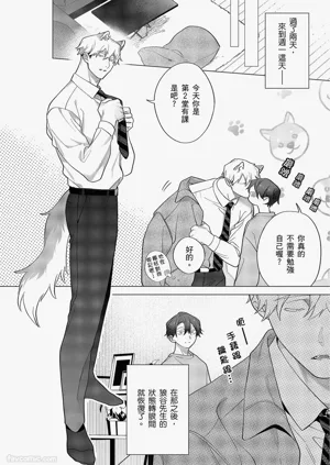 第410頁圖