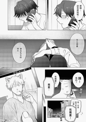 第454頁圖