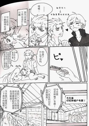 第29頁圖