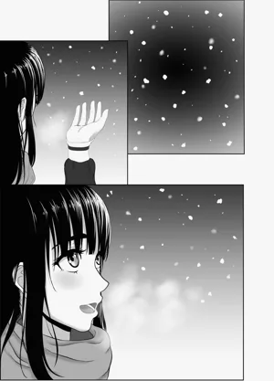 第41頁圖