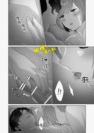 第13页图