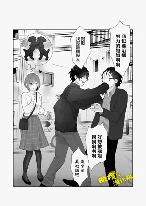 第33页图