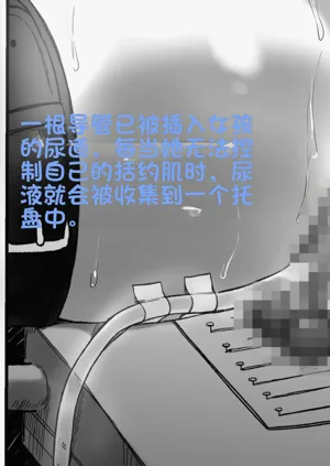 第29頁圖