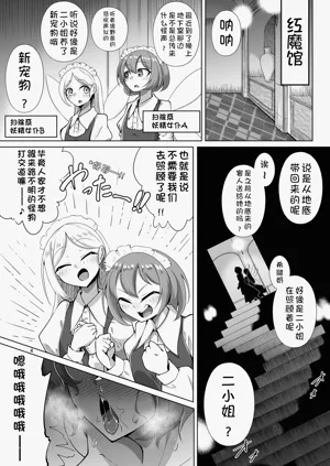 第3页图