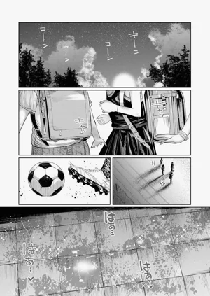 第210頁圖