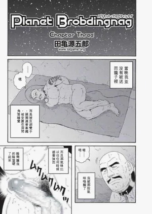 第33頁圖
