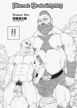 第4頁圖