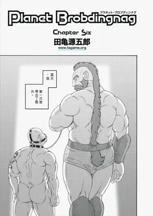 第81頁圖