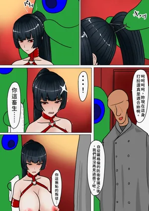 第217頁圖